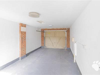 Picture 25